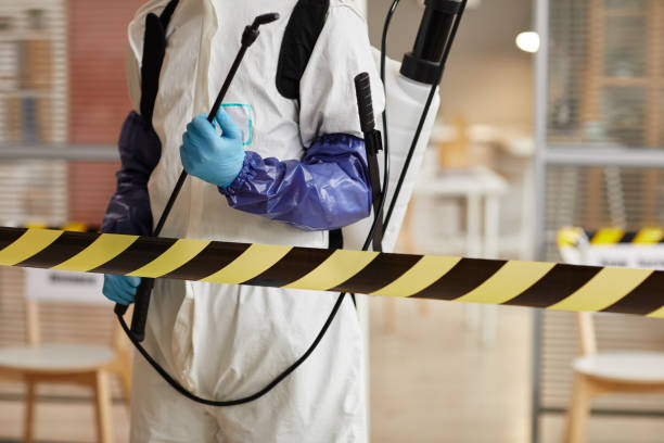 Professional Hoarding Cleanup technician working in Mendon, UT